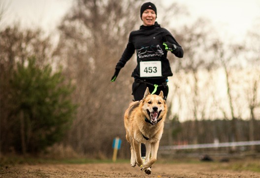 Trendsport Canicross